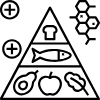 food pyramid